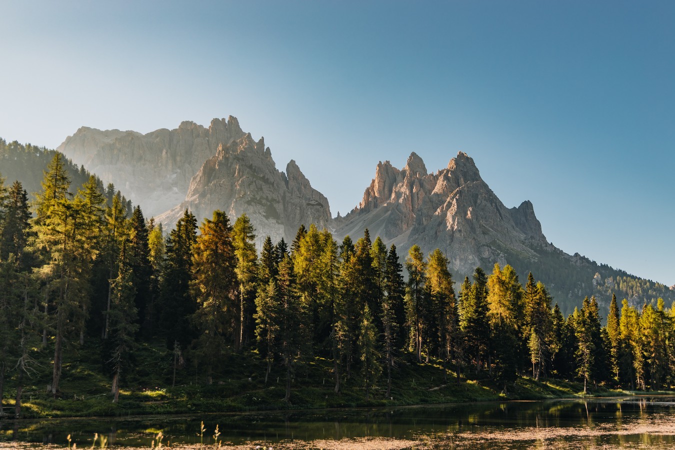 Photo of rows of books in a library with marble busts.